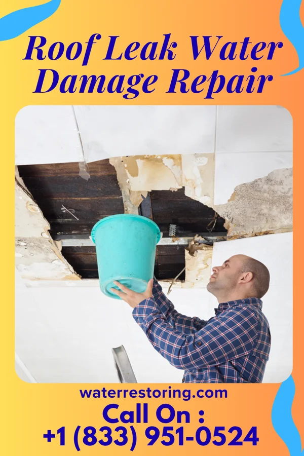 Roof Leak Water Damage Repair in Lava Hot Springs, ID